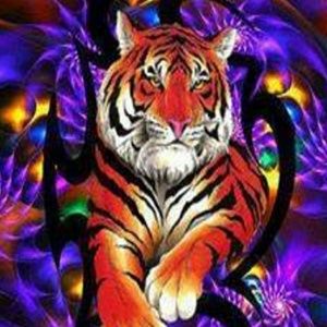 Meet your Posher, Jolene